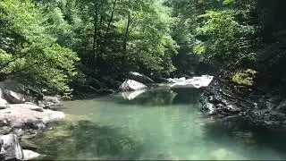 Сочинский заповедник. Каньон 