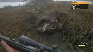 Ultimate Moose Hunter! (The Hunter Call Of The Wild)