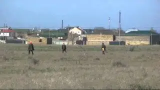 163. (08) Поле 10ч 24 мин. Эпаньол Бретон Маг.