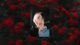 [FREE] LiL PEEP Type Beat- 'roses' (Prod. By Chrome Plated)