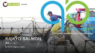 Kaikyo Salmon by Kyoko Nagano