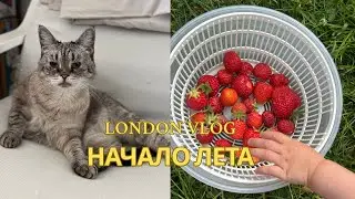 Life changes