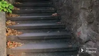 Подарок Лене