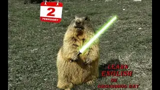 February 2nd is Groundhog Day