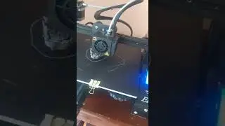 Articulated axolotl head and tail, STL and blender file