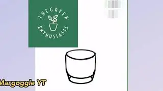 Plant lover digital art minimalist speed painting ☘️