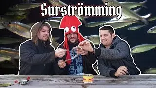 Americans Try Surstromming | Stinky Fish Challenge