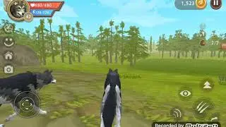 Выполняем квест в WildCraft