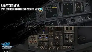 Shortcut Keys to Cycle Through Different Views in the Cockpit for MSFS 2020