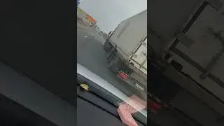 Евгенич и такси