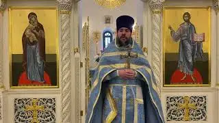 проповедь в Неделю о блудном сыне (20.02.20)