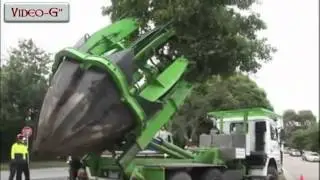 Niente motosega:il trasloco dell'albero in pochi minuti