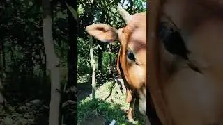 cuối tuần đi thăm các em ở rừng