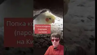 Попка колдуна — #пародия на #куклаколдуна #попугай #прикол #папужьипародии #юмор