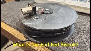 What is the End-Fed Biscuit?