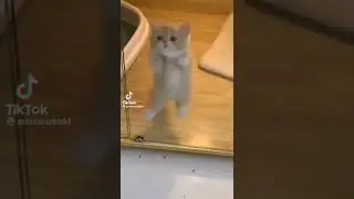 Милота 🥺