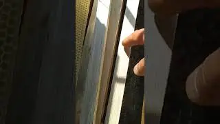 Пчелы не идут в магазин Как выманить пчел в магазин 