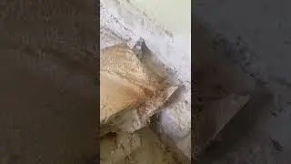 14 сентября 2023 г.