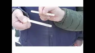 Кубок Сабанеева Леонида Павловича