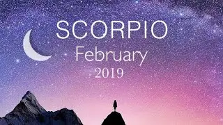 They're crazy about you! Scorpio February 2019. Tarot