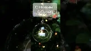 С  новым годом всех