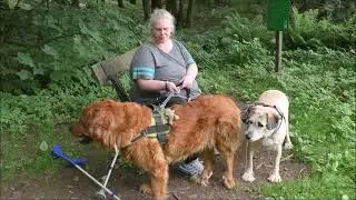 Outdoor mit Billy 2024 noch wenige  Plätze sind zu haben
