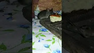#подпишись