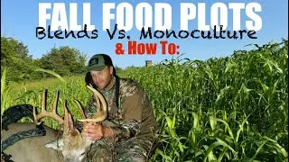 Fall Food Plots For Whitetail Deer Hunting, Blends Vs. Monocultures, How To and Why..