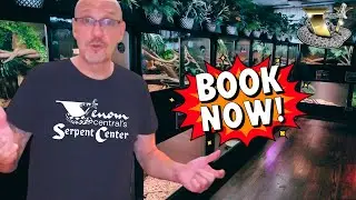 The Most Impressive Snake Collection You’ll Ever See