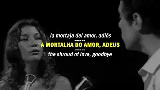 Chico Buarque e Zizi Possi - Pedaço de Mim - sub ESPAÑOL | ENGLISH (LETRA)