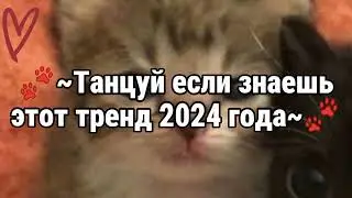 🐾~Танцуй если знаешь этот тренд 2024 года~🐾