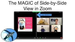 The MAGIC of Side-by-Side View in Zoom