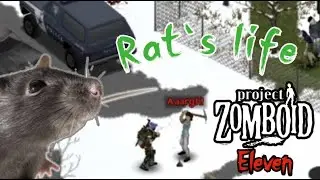 Rat's life - Eleven | [Project Zomboid]