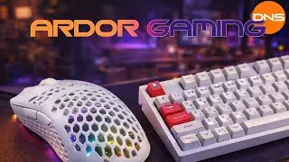 НАБОР ГЕЙМЕРА ARDOR GAMING | DNS ЗА 10к | Клавиатура, мышка