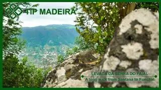 Levada da Serra do Faial