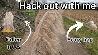 AN EVENTFUL TACK UP AND RIDE WITH ME GOPRO EDITION | Fallen Trees, Scary Bags and Excitable Lambs