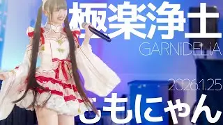Momonyan - Gokuraku Jodo (GARNiDELiA) Japanese songs cover / Tokyo Idol Theater (Aigeki)