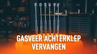 Hoe u de gasveer achterklep kunt vervangen [HANDLEIDING AUTODOC]