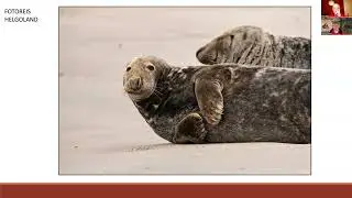 Presentatie Fotoreis Helgoland 2024