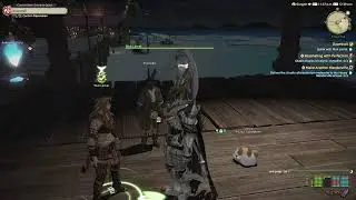 FFXIV Dawntrail - Level 100 Final MSQ