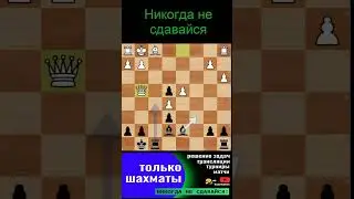 Никогда не сдавайся против 2100+ #shorts #chess #шахматы