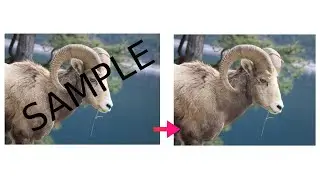 How to remove watermark in photoshop 2024