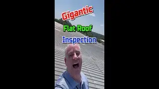Gigantic Flat Roof Inspection,  Daniel The Adjuster