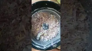 больше всего кверцетина в шелухе