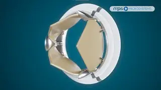 Trileaflet Surgical Aortic Valve - MPS Microsystems