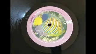 Pieter K - Rapport