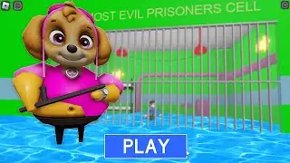 PAW PATROL SKYE! BARRY'S PRISON RUN WATER! 