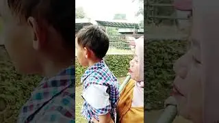 Liat gajah aalfok sama anu nya #shortsvideo #youtubeshorts