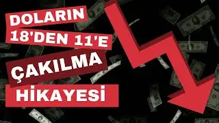 Doların 18'den 11'e ÇAKILMA Hikayesi