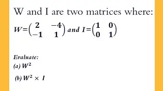 Squaring a Matrix and Exploring the Identity Matrix | Lennatics TV